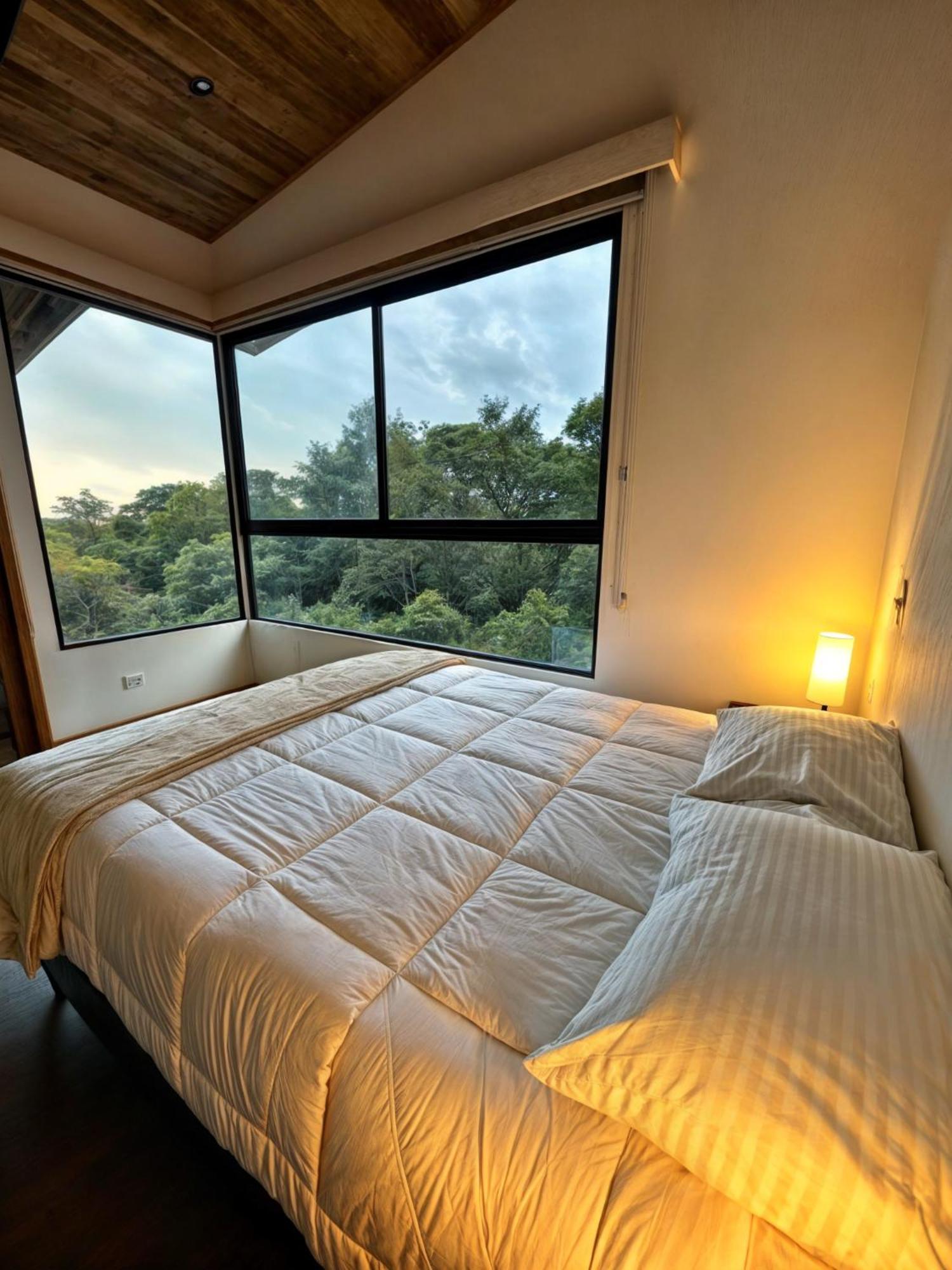 Moon Forest Apartments Monteverde Esterno foto
