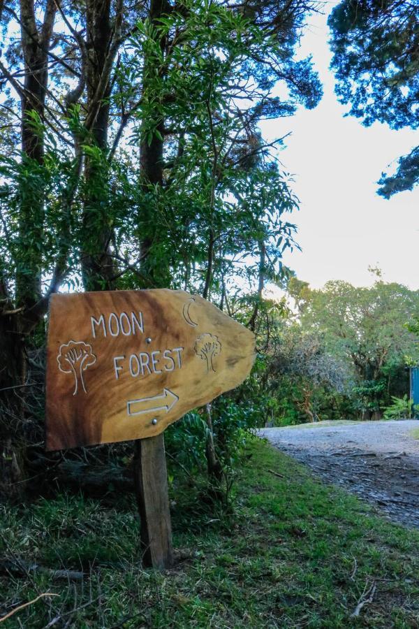 Moon Forest Apartments Monteverde Esterno foto