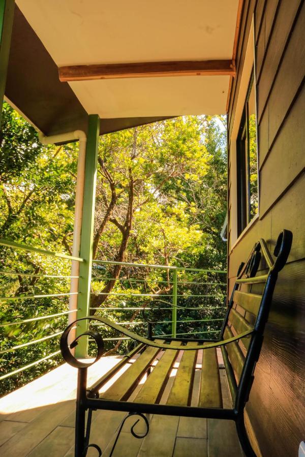 Moon Forest Apartments Monteverde Esterno foto