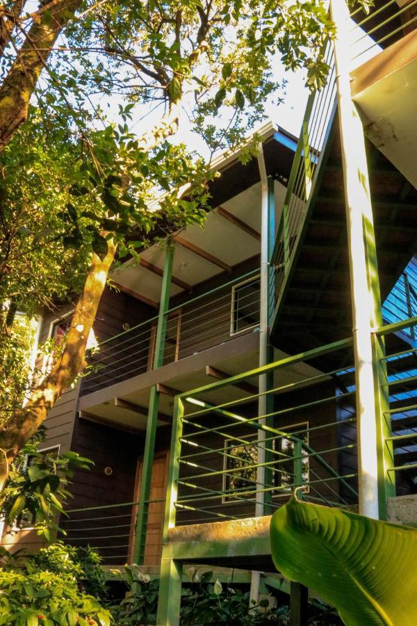 Moon Forest Apartments Monteverde Esterno foto
